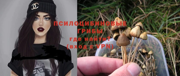 мет Абинск