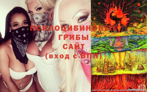 мет Алексин