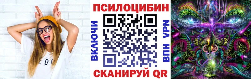 где продают   blacksprut маркетплейс  Псилоцибиновые грибы мицелий  Казань 