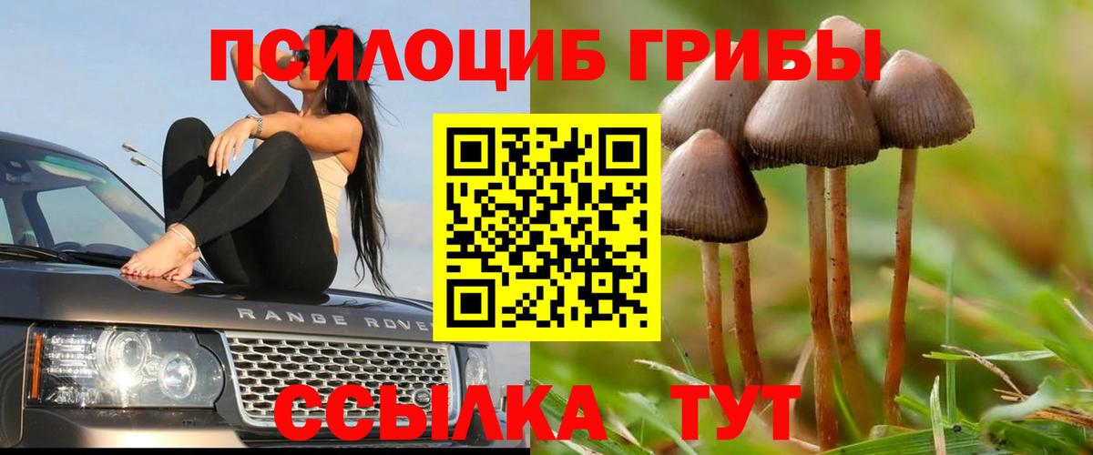 Псилоцибиновые грибы Magic Shrooms  Вход с VPN  Казань  Псилоцибиновые грибы Psilocybe 